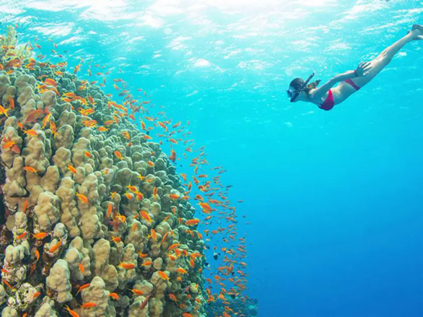 Una buceadora con tubo sobre un arrecife de coral, en agua turquesa
